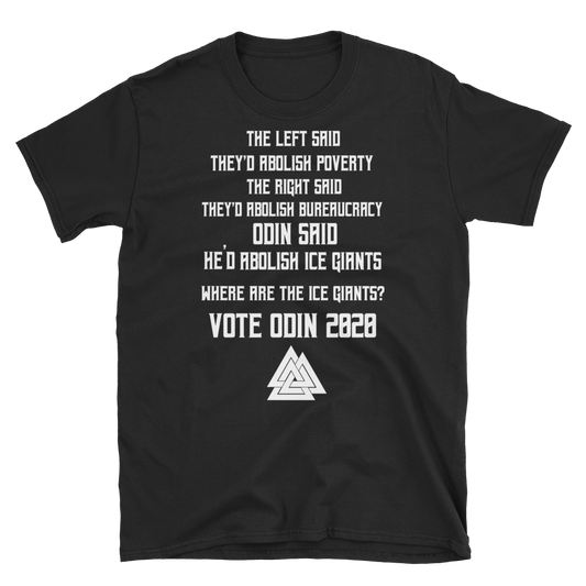 Vote Odin 2020 - Tee - Viking Valor